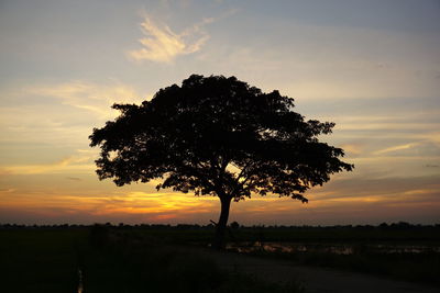 Silhouette tree against sky during sunset