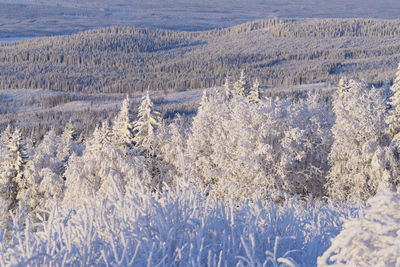 Scenic view of landscape