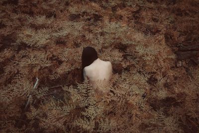 High angle view of shirtless woman amidst plants in forest during autumn