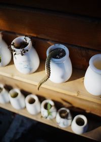 High angle view of plant on shelf