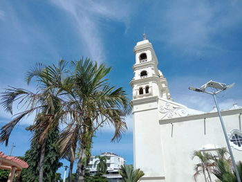 Low angle view of palm trees and building against sky