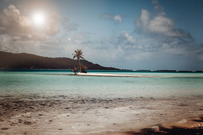 Island in the distance - bora bora - sunny day