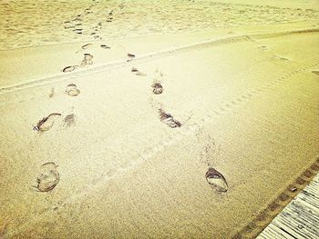 Footprints on sandy beach