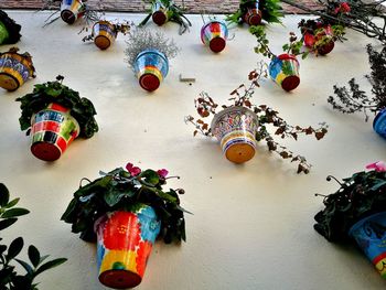 Multi colored christmas decoration