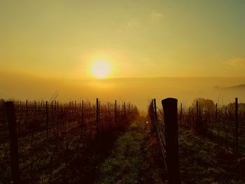 Scenic view of field against sky during sunset