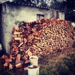 Stack of logs