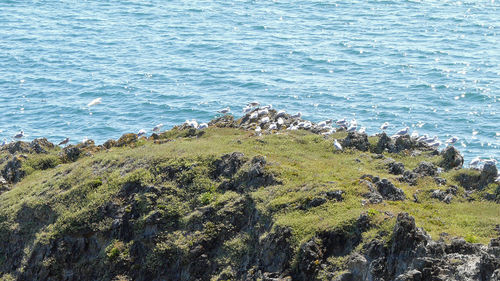 High angle view of cliff by sea