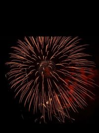 Low angle view of firework display against sky at night