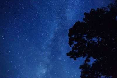 Low angle view of silhouette tree against star field