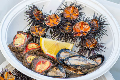 Opened sea urchins with orange eggs, mussels and raw microcosmus sabatieri, grooved sea squirt