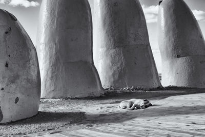 Close-up of cat on sand at beach against sky