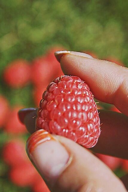 CLOSE-UP OF CROPPED HAND HOLDING RED OBJECT