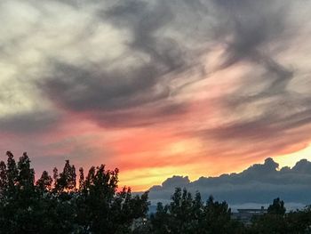 Silhouette of trees at sunset