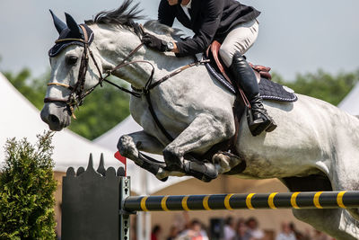 Man riding horse