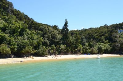 Scenic view of beach against clear blue sky