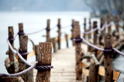 Boardwalk on river