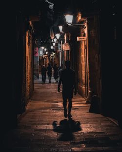 Rear view of people walking on illuminated street amidst buildings at night