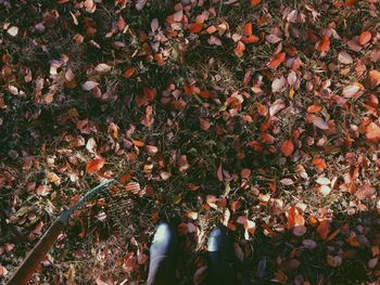 Low section of woman standing in garden