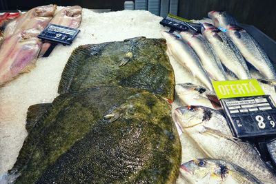 High angle view of fish for sale at market