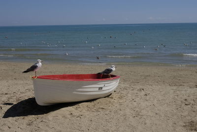 Boat moored on beach against clear sky