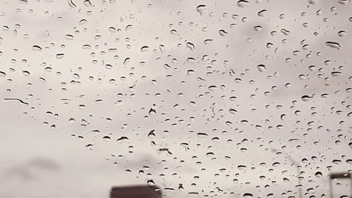 Close-up of water drops on glass