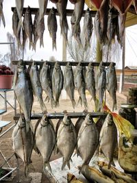 Close-up of fish for sale in market