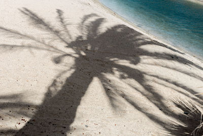 High angle view of shadow on beach