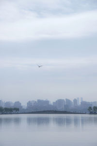 Bird flying over river by city against sky