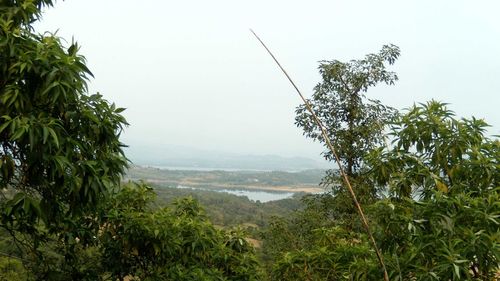 Scenic view of tree mountains against sky