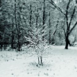 snow