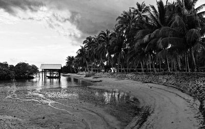 Scenic view of trees against sky