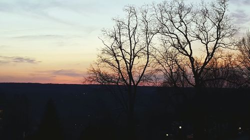 Silhouette of trees at sunset