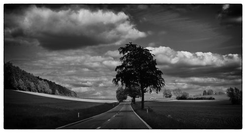 Empty road amidst trees against sky