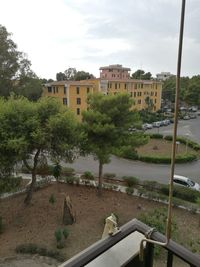 Trees growing in front of building against sky