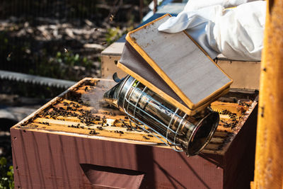 Hive with bees fumigated by metal smoker in apiary on sunny day in countryside