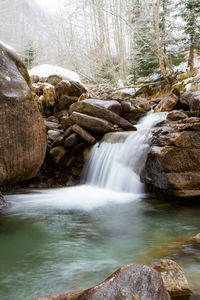 View of waterfall in forest