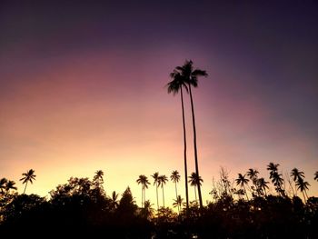 Low angle view of palm trees against sky during sunset