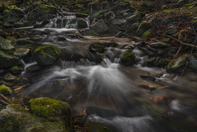 Stream flowing through rocks in forest