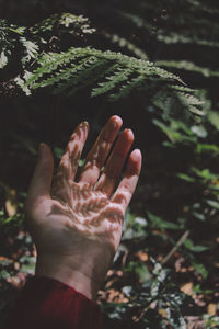 Cropped image of woman hand with shoulder by plants at park