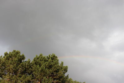 Low angle view of rainbow against sky