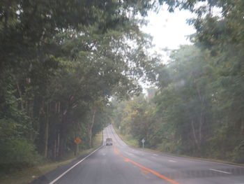 Road amidst trees in forest