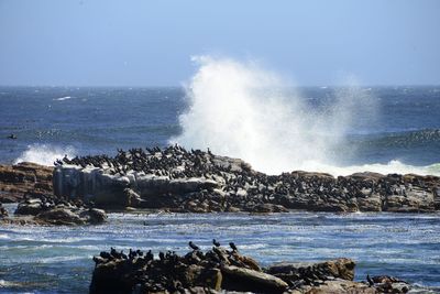 Scenic view of sea against clear sky