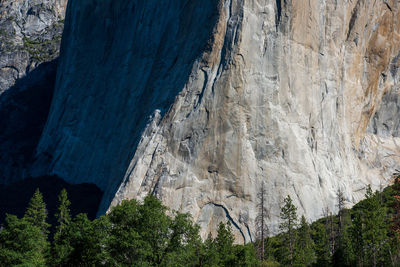 The base wall of el capitan mountain in yosemite national park.