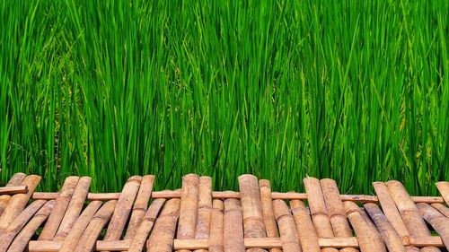 Wooden fence on field