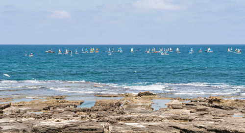 sea