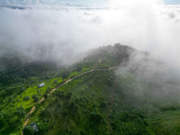 environment
