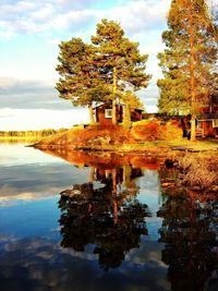 Scenic view of lake with trees in background