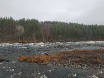 Scenic view of river against sky