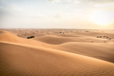 Scenic view of desert against sky