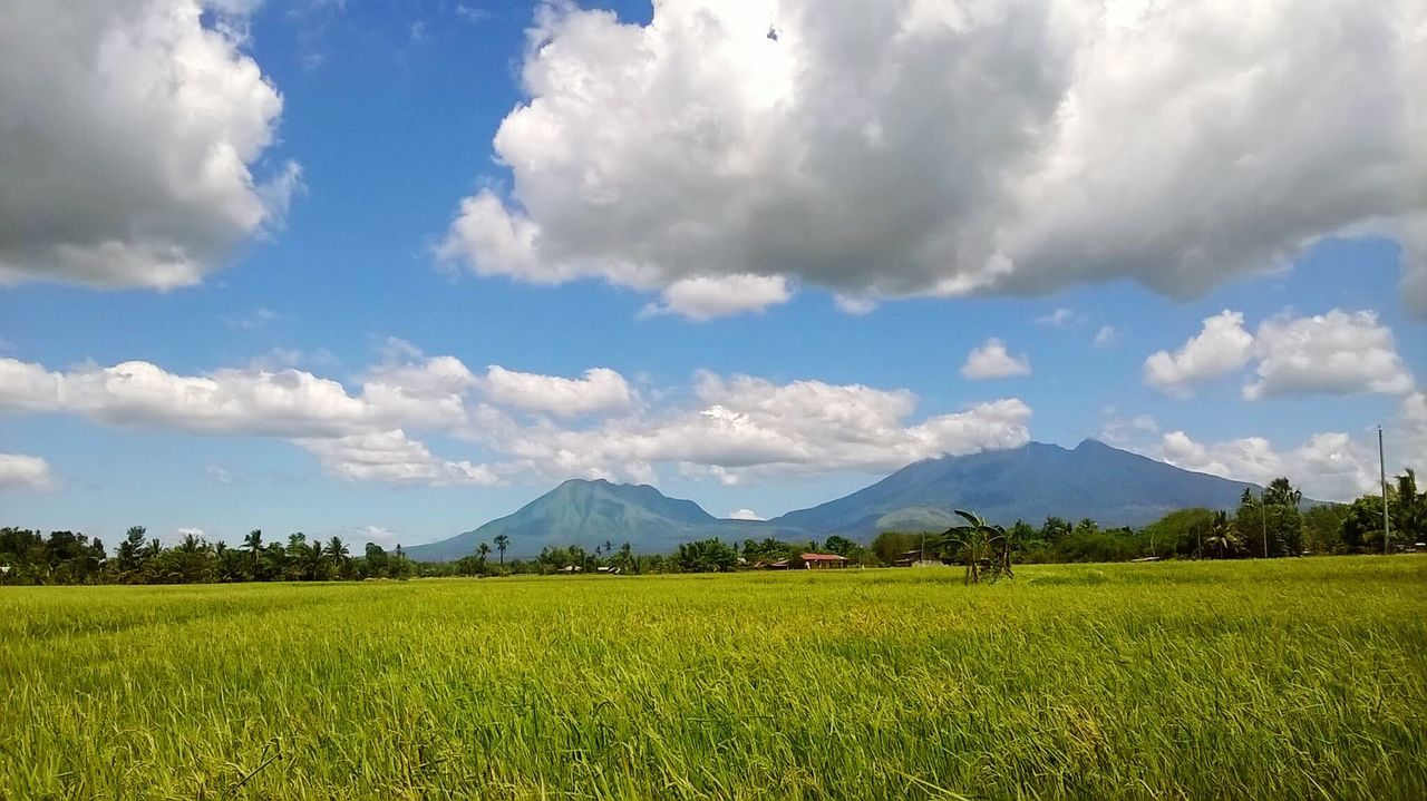 landscape, scenics, sky, cloud - sky, beauty in nature, mountain, nature, tranquil scene, no people, outdoors, tranquility, day, agriculture, growth, field, plant, rural scene, tree